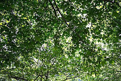 现在玩《艾尔登法环》都开始不用手柄了